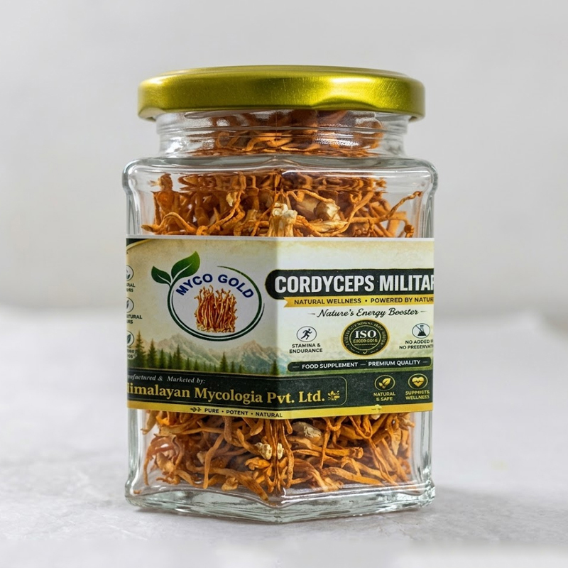 Mycogold Cordyceps militaris